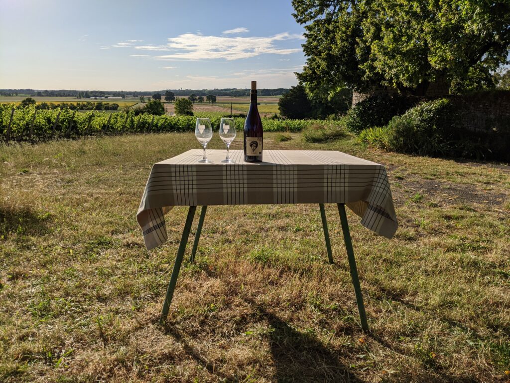 Loire Valley Wine Tasting